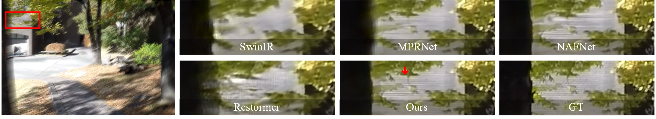 Example 5